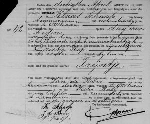 1898GebOznTrijntjeSchaap.jpg