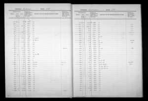 47844d17-53e2-4a2d-b884-6db774070bd5.jpg