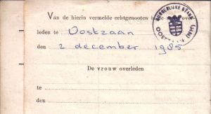d01843.jpg