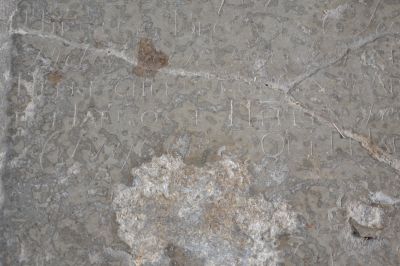 DSC_0568.JPG