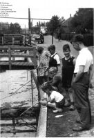 f00143.jpg