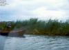 f02473.jpg