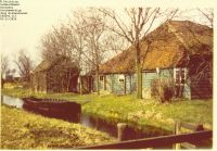f06043.jpg