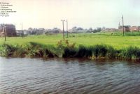 f06341.jpg
