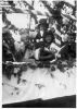 wilhelminafeesten-1938