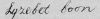 Lijsbeth Boon, Pdr