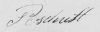 Pieter Schaft, Czn