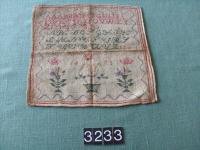 t03233.JPG