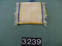 t03239.JPG