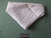 t03309.JPG